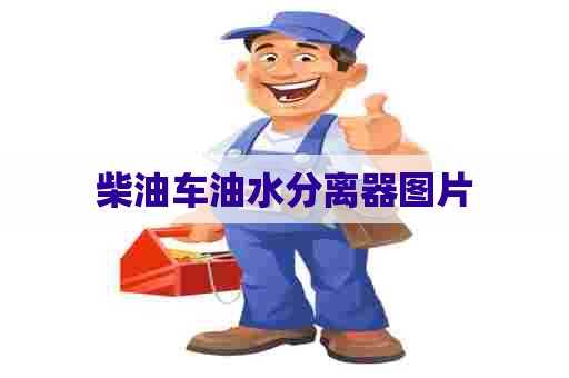 柴油车油水分离器图片