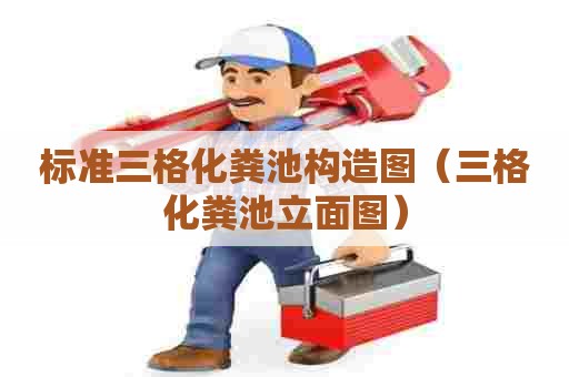 标准三格化粪池构造图（三格化粪池立面图）