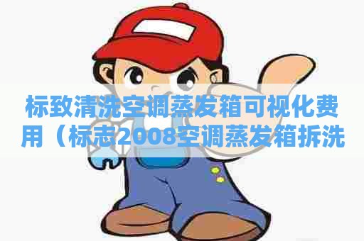 标致清洗空调蒸发箱可视化费用（标志2008空调蒸发箱拆洗视频）