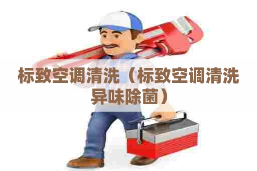 标致空调清洗（标致空调清洗异味除菌）