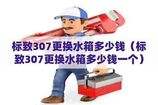 标致307更换水箱多少钱（标致307更换水箱多少钱一个）