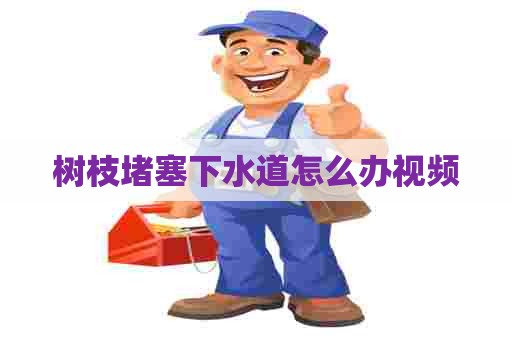 树枝堵塞下水道怎么办视频