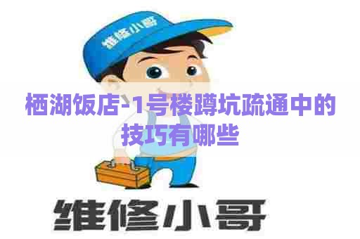 栖湖饭店-1号楼蹲坑疏通中的技巧有哪些