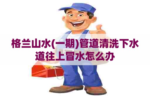 格兰山水(一期)管道清洗下水道往上冒水怎么办