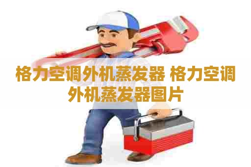 格力空调外机蒸发器 格力空调外机蒸发器图片 格力空调外机蒸发器 格力空调外机蒸发器图片