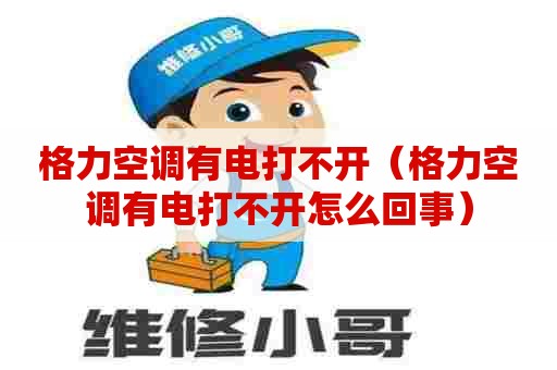 格力空调有电打不开（格力空调有电打不开怎么回事）