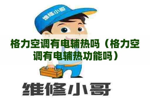 格力空调有电辅热吗（格力空调有电辅热功能吗）