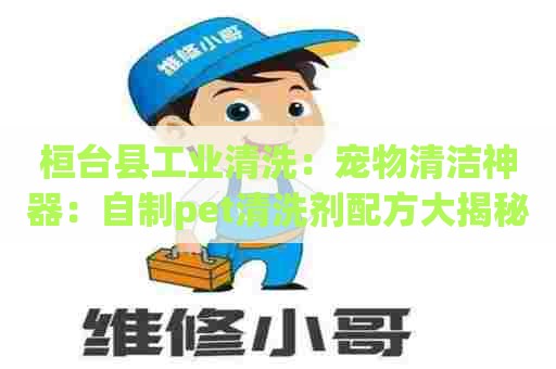 桓台县工业清洗：宠物清洁神器：自制pet清洗剂配方大揭秘！