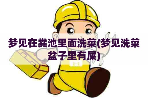 梦见在粪池里面洗菜(梦见洗菜盆子里有屎)