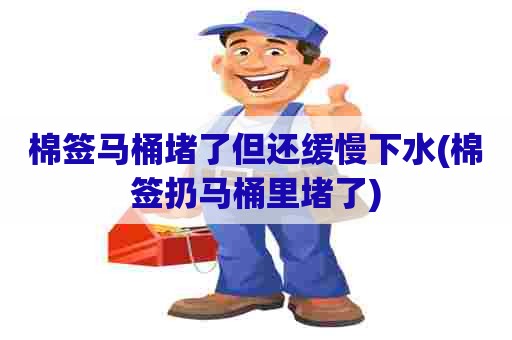 棉签马桶堵了但还缓慢下水(棉签扔马桶里堵了)