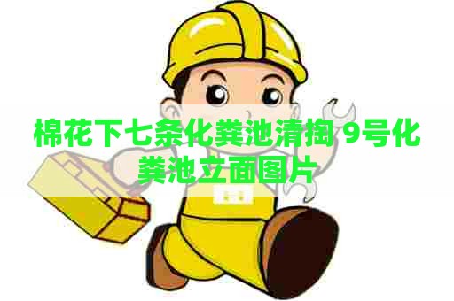 棉花下七条化粪池清掏 9号化粪池立面图片
