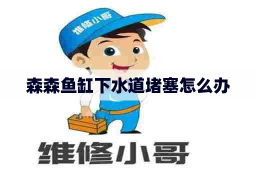 森森鱼缸下水道堵塞怎么办
