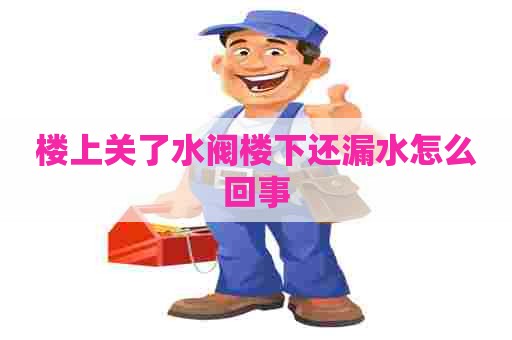 楼上关了水阀楼下还漏水怎么回事