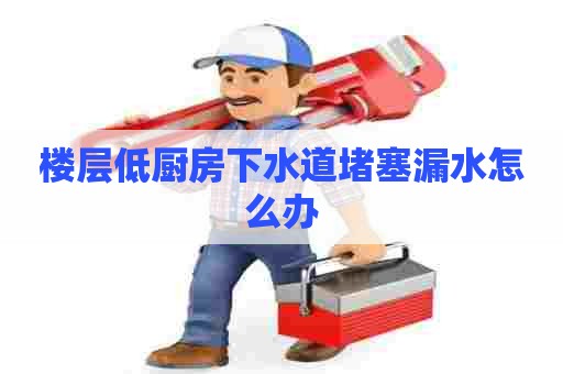 楼层低厨房下水道堵塞漏水怎么办