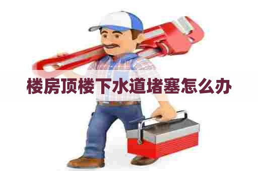 楼房顶楼下水道堵塞怎么办