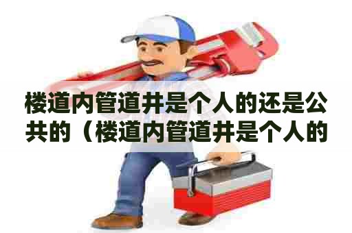 楼道内管道井是个人的还是公共的（楼道内管道井是个人的还是公共的呢）