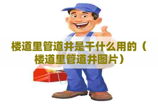 楼道里管道井是干什么用的（楼道里管道井图片）