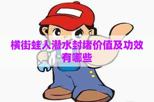 横街蛙人潜水封堵价值及功效有哪些