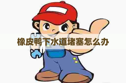 橡皮鸭下水道堵塞怎么办
