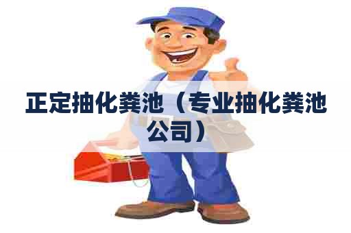 正定抽化粪池（专业抽化粪池公司）