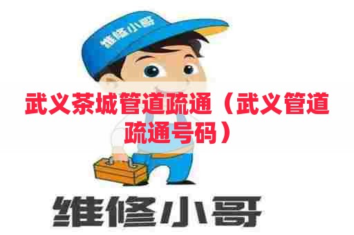 武义茶城管道疏通（武义管道疏通号码）