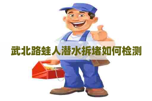 武北路蛙人潜水拆堵如何检测