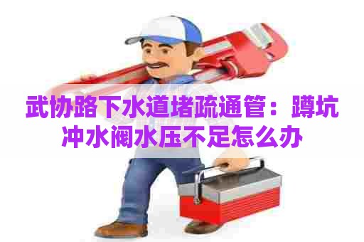 武协路下水道堵疏通管:蹲坑冲水阀水压不足怎么办 武协路下水道堵疏通管:蹲坑冲水阀水压不足怎么办
