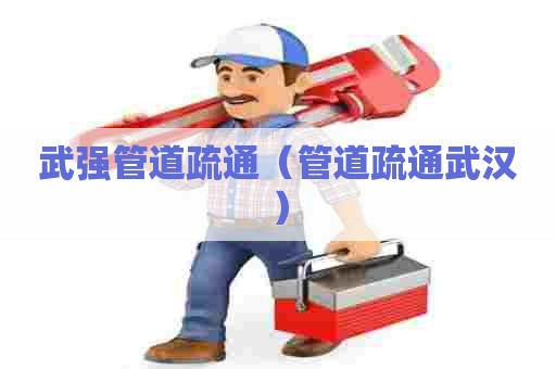 武强管道疏通（管道疏通武汉）