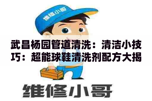 武昌杨园管道清洗：清洁小技巧：超能球鞋清洗剂配方大揭秘