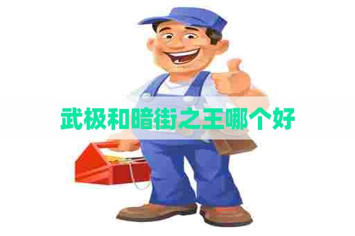 武极和暗街之王哪个好