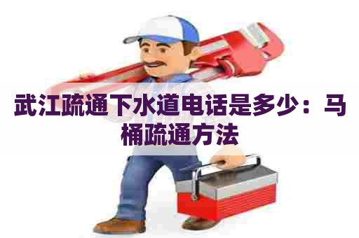 武江疏通下水道电话是多少：马桶疏通方法