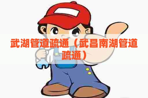 武湖管道疏通（武昌南湖管道疏通）