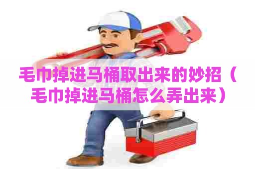 毛巾掉进马桶取出来的妙招（毛巾掉进马桶怎么弄出来）