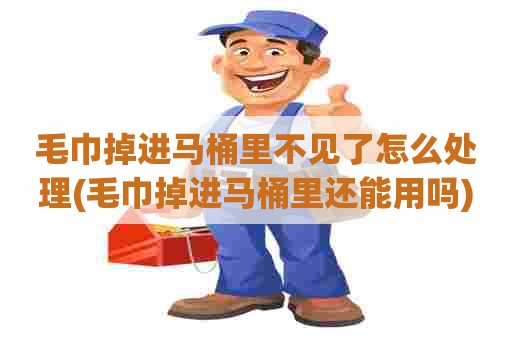 毛巾掉进马桶里不见了怎么处理(毛巾掉进马桶里还能用吗)