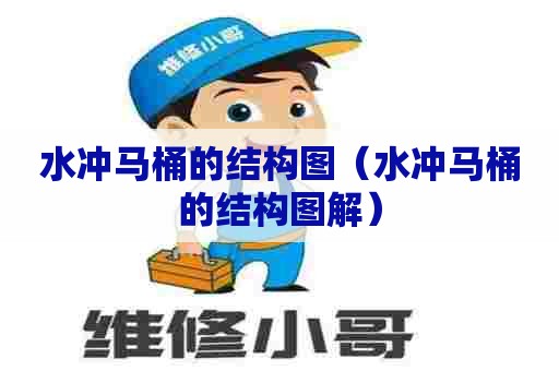 水冲马桶的结构图（水冲马桶的结构图解）