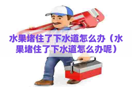 水果堵住了下水道怎么办（水果堵住了下水道怎么办呢）