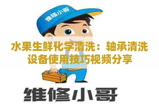 水果生鲜化学清洗：轴承清洗设备使用技巧视频分享