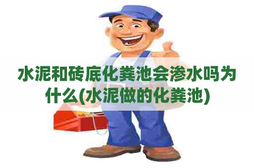 水泥和砖底化粪池会渗水吗为什么(水泥做的化粪池)