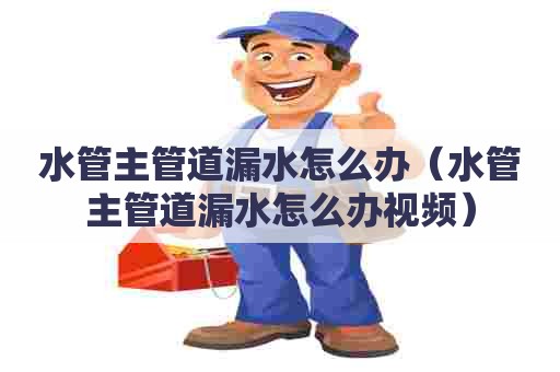 水管主管道漏水怎么办（水管主管道漏水怎么办视频）