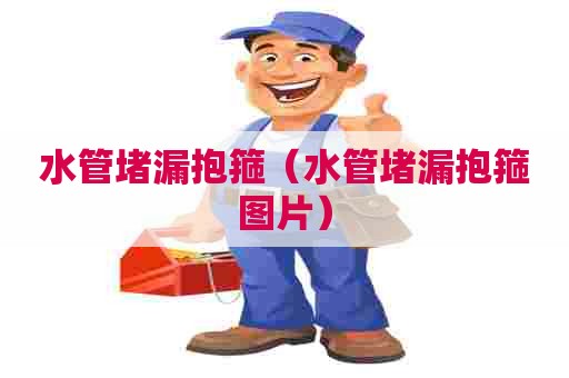 水管堵漏抱箍(水管堵漏抱箍图片) 水管堵漏抱箍(水管堵漏抱箍图片)