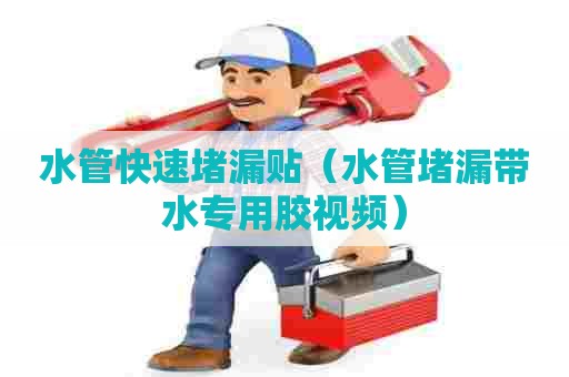 水管快速堵漏贴（水管堵漏带水专用胶视频）