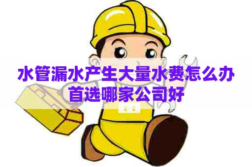 水管漏水产生大量水费怎么办首选哪家公司好