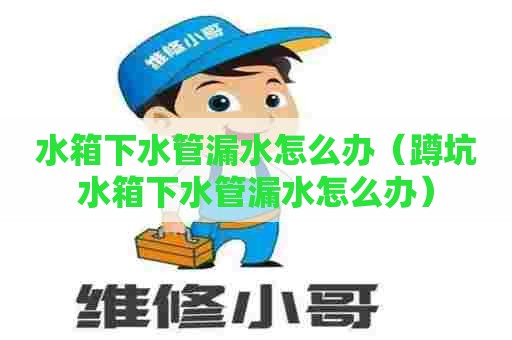 水箱下水管漏水怎么办（蹲坑水箱下水管漏水怎么办）