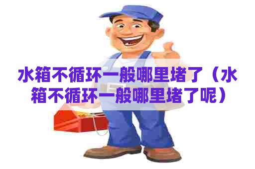水箱不循环一般哪里堵了（水箱不循环一般哪里堵了呢）