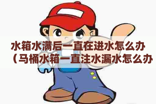 水箱水满后一直在进水怎么办（马桶水箱一直注水漏水怎么办）