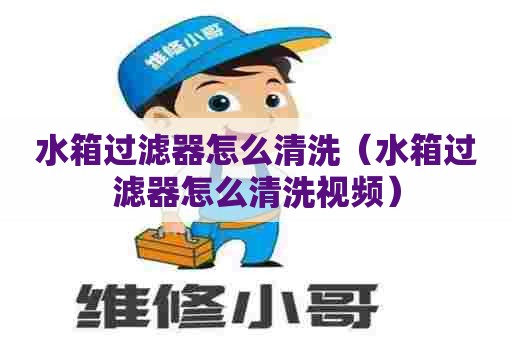 水箱过滤器怎么清洗（水箱过滤器怎么清洗视频）