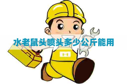 水老鼠头喷头多少公斤能用