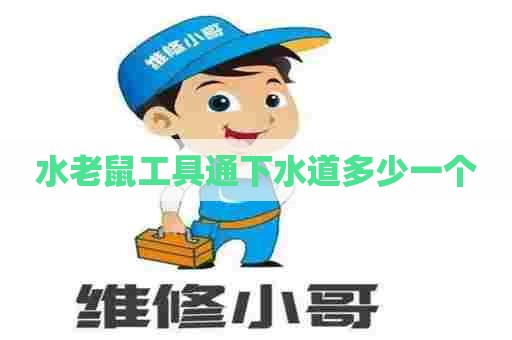 水老鼠工具通下水道多少一个 水老鼠工具通下水道多少一个