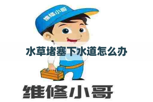 水草堵塞下水道怎么办