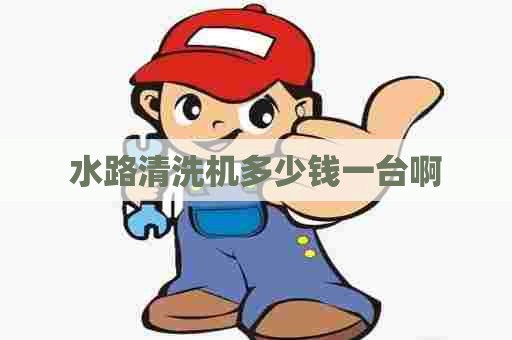 水路清洗机多少钱一台啊